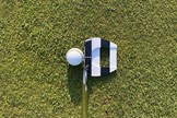 The Odyssey Ai-One Jailbird Mini putter sits well behind the ball
